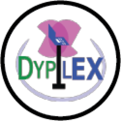 Dypilex Group Ltd